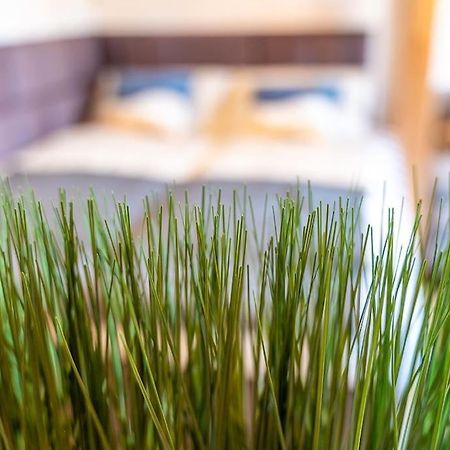 Golden Nugget Inkl Wlan, Parkplatz Διαμέρισμα Ντέτμολντ Εξωτερικό φωτογραφία